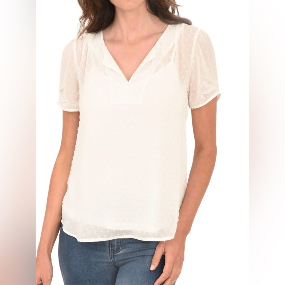 Daniel Rainn Cream V-Neck Blouse - Picture 1 of 9
